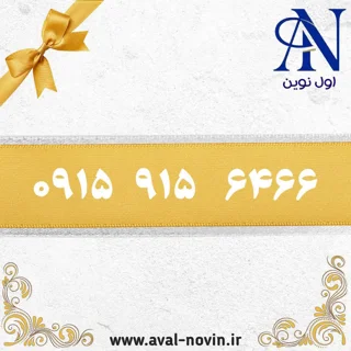 6466 915 0915